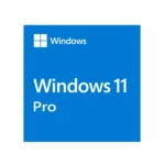 Microsoft Windows 11 Pro Eng 64-bit ESD licence